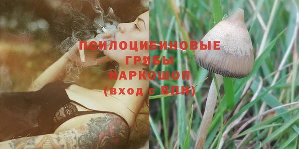 ГАЛЛЮЦИНОГЕННЫЕ ГРИБЫ Алексеевка