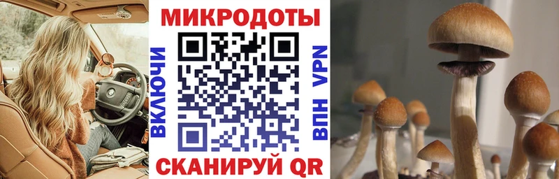 Галлюциногенные грибы GOLDEN TEACHER  наркотики  Беслан 